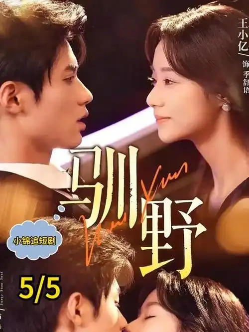 时间的褶皱 热播剧集在线观看